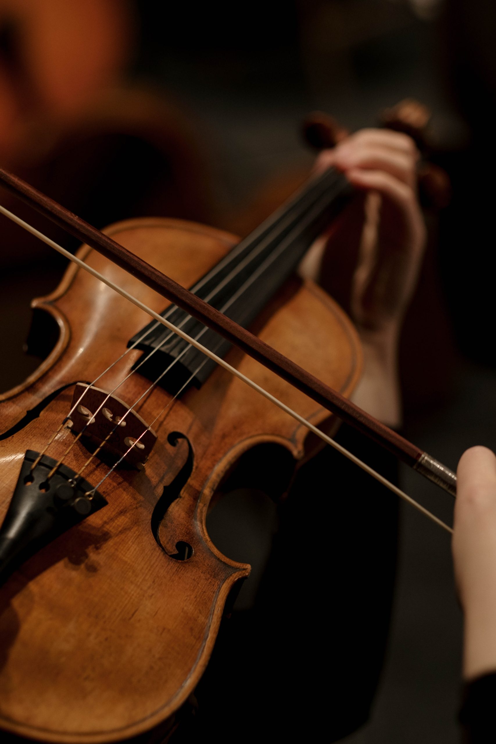 Close up of violonist's hands on the violin playing